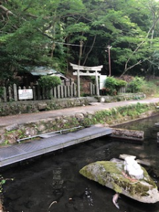 鳥居遠い