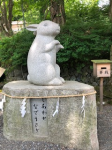 うさぎ