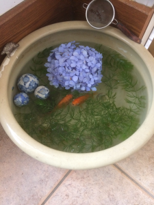 金魚鉢